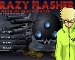 crazy flasher 3