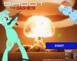 shoot dashies