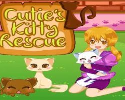 Cuties kitty Cuties kitty