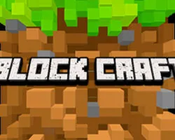 Block Craft D