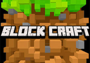 Block Craft D