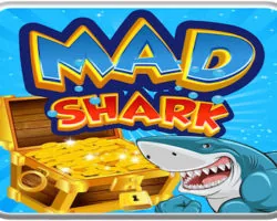 Mad shark
