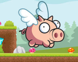 Oink run