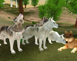 Wild Solves Hunger Attack