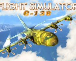 Flight Simulator