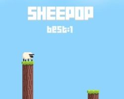 sheepop