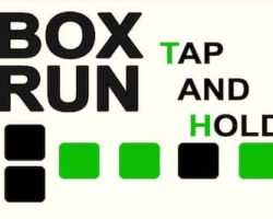 Box Run