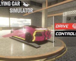 Flying-Car-Simulator-3D-1.jpg