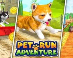 Pet Run Adventure