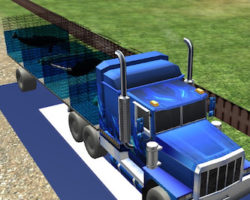 Sea Animal Transport