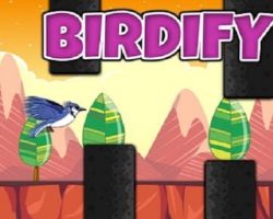 Birdify