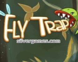 fly-trap