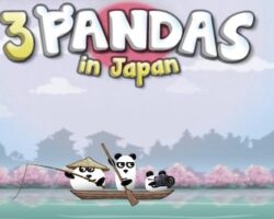 3 pandas in japan