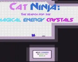 cat ninja