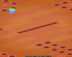 Squawk-TechGrapple-Games