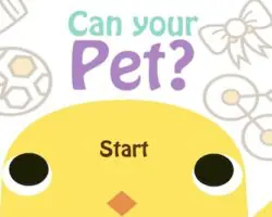 can your pet