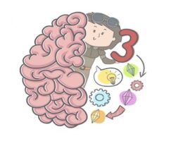 Brain Test 3