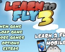 learn to fly 3