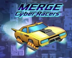 merger racer