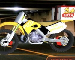 bike pizza delivery