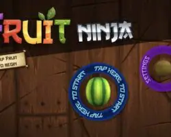 fruit ninja