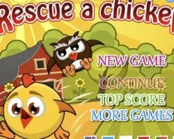 rescue chicken