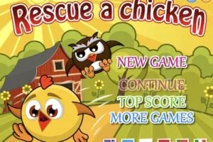 rescue chicken