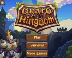 Guard of the Kingdom