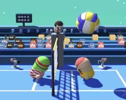 volleyball-3d