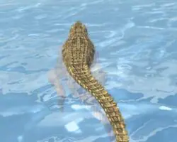 Crocodile-Simulator