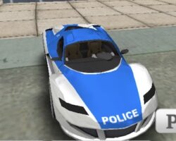 policecargame.jpg